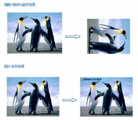 華云數(shù)據(jù)對象存儲服務(wù)COS 富媒體服務(wù)之圖片處理與存儲支持